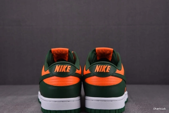 Dunk DD1391-300 Hurricanes Miami Low Nike 0903
